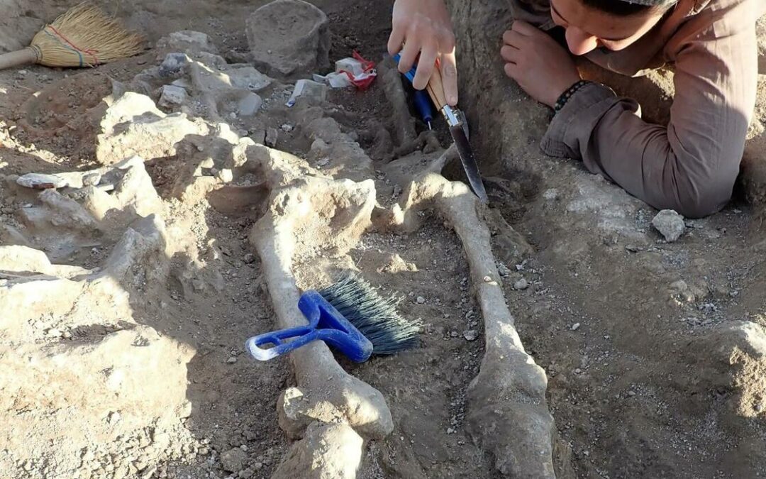 ecco gli scheletri di tremila anni fa