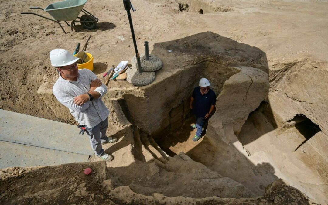 sorpresa tra profumi e urne misteriose