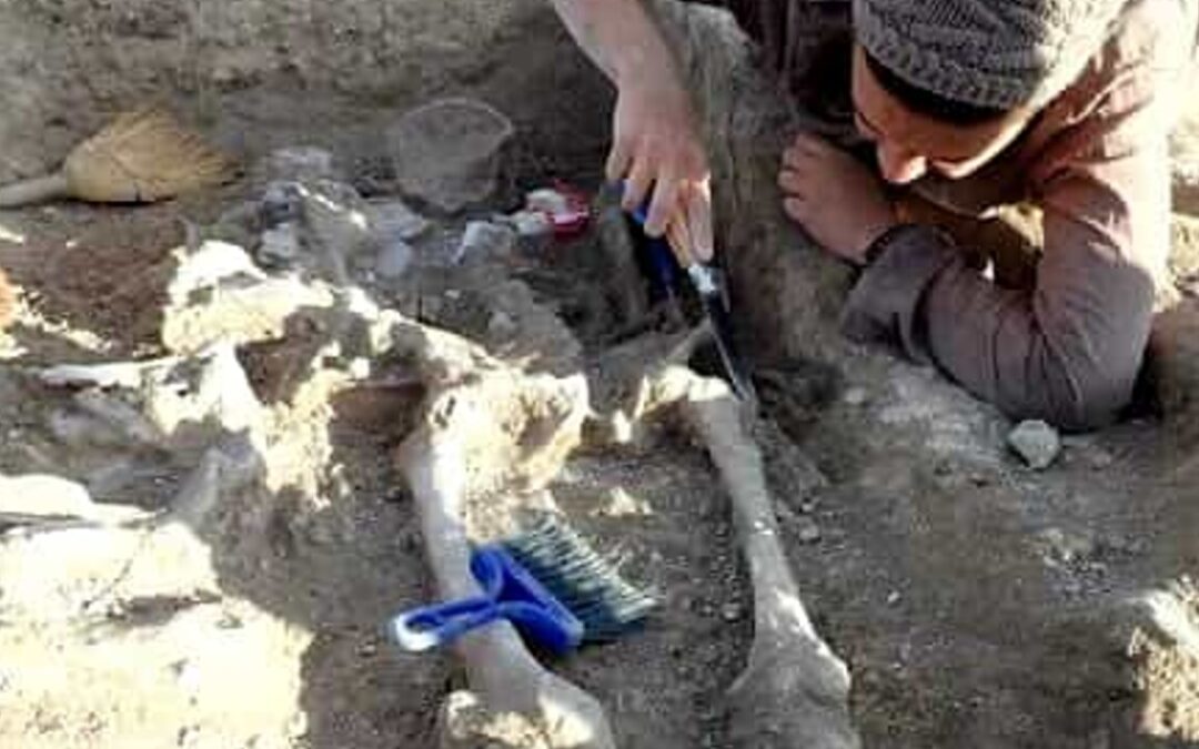 sono i più antichi di tutta l’Etruria