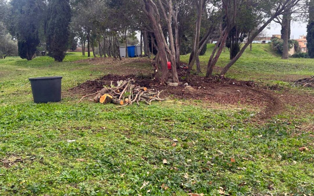 Bonifica area verde a piazza Vulci per prevenire atti criminali e vandalici