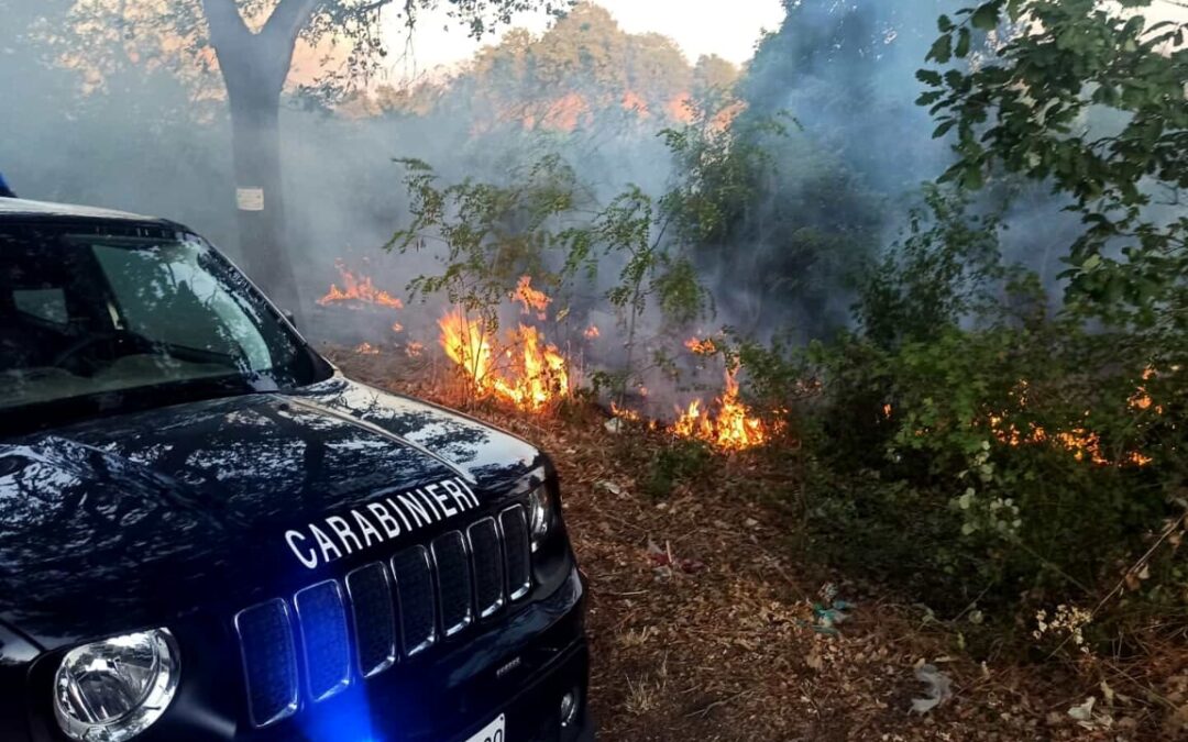 i carabinieri forestali individuano l’origine