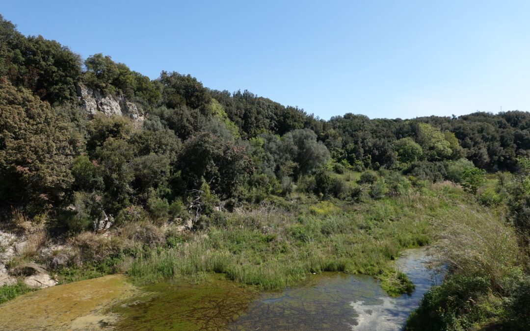 Istituito il Monumento Naturale Lago di Vulci