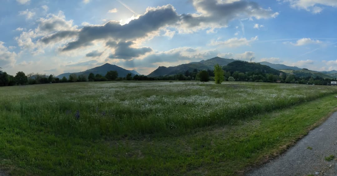 Estate tra le rovine: danza, teatro e poesia al Parco Archeologico di Kainua
