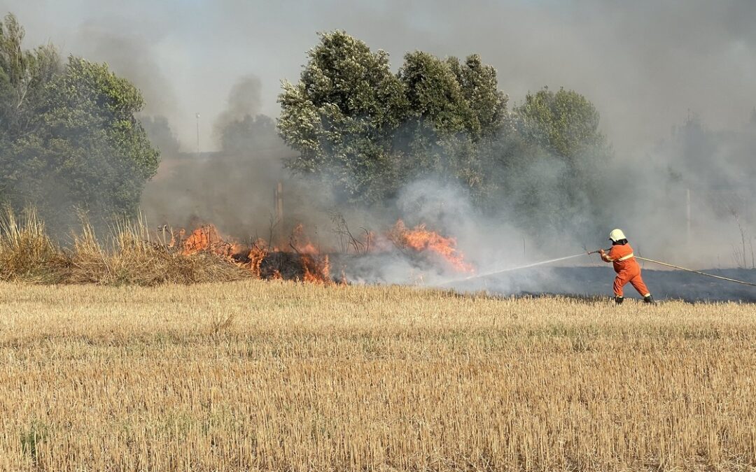 Vasto incendio al Parco di Vulci, in fiamme ettari sterpaglie