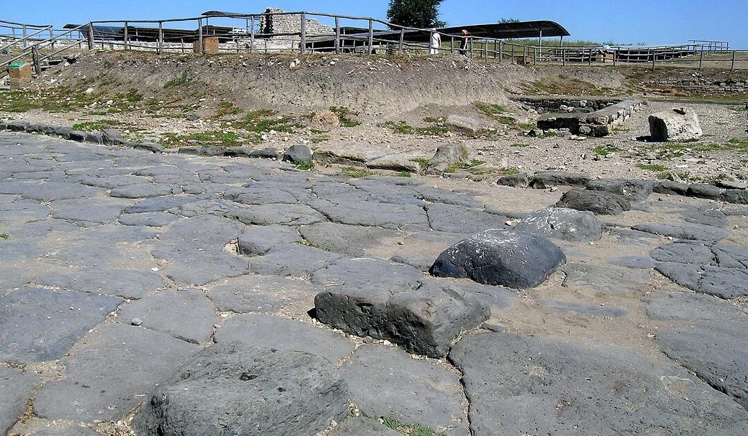 Sarà aperta e analizzata l’urna cineraria ritrovata nel parco di Vulci la scorsa estate