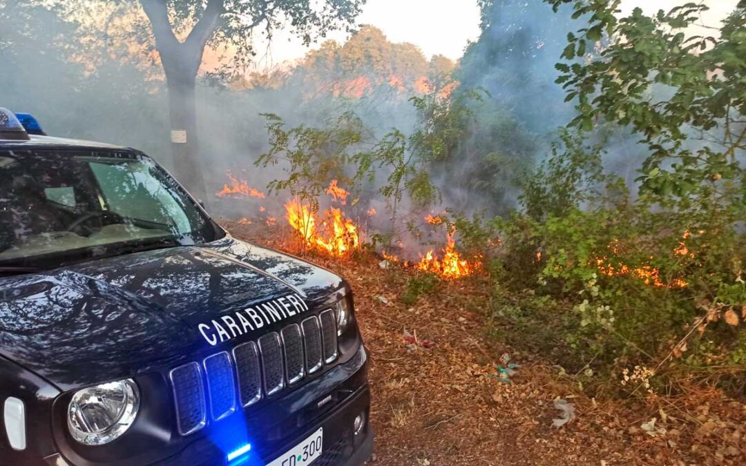 Fiamme al parco archelogico di Vulci, ad appiccarlo una mietitrebbia in azione… Attenzione ai mezzi agricoli