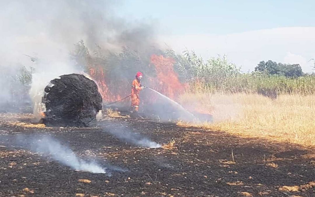 Vasto incendio di sterpaglie a Pescia Romana