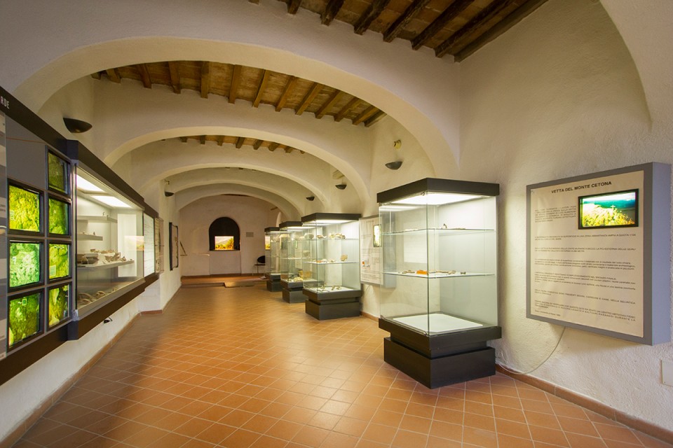 Al Museo di Cetona ‘Avventure a fumetti nel mondo degli Etruschi’