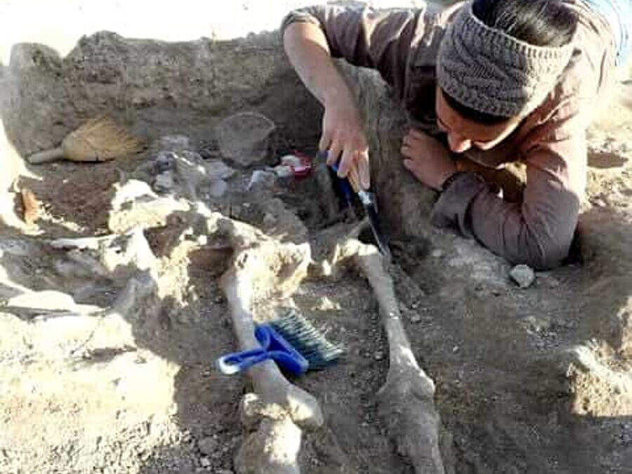 A Vulci trovate le ossa dell’etrusco più antico