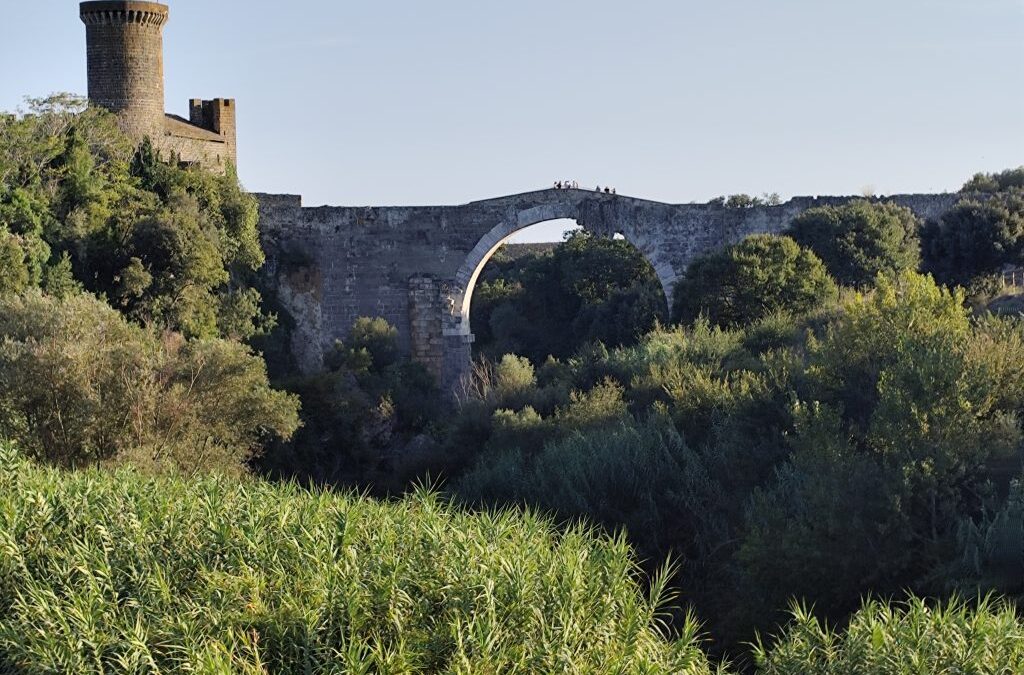 Vulci e il suo territorio 50 anni dopo: XXXI Convegno dell’Istituto Nazionale di Studi Etruschi e Italici
