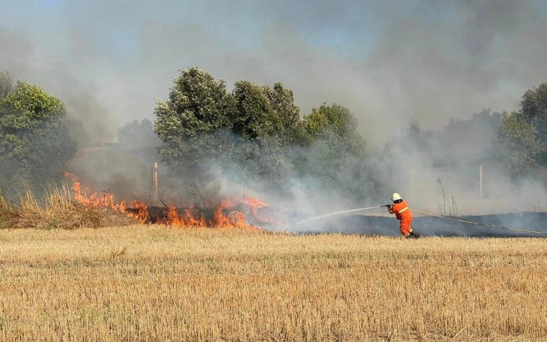 Vasto incendio al parco archeologico di Vulci. Fiamme anche ai Piani degli Alpaca a Tarquinia