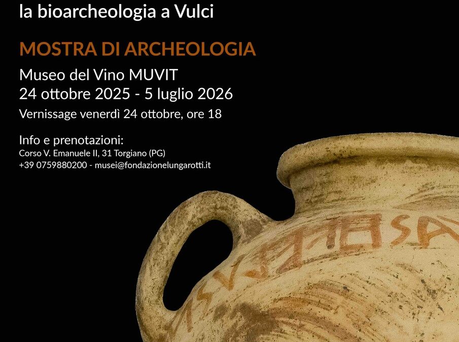 Il Vino degli Antichi a Torgiano