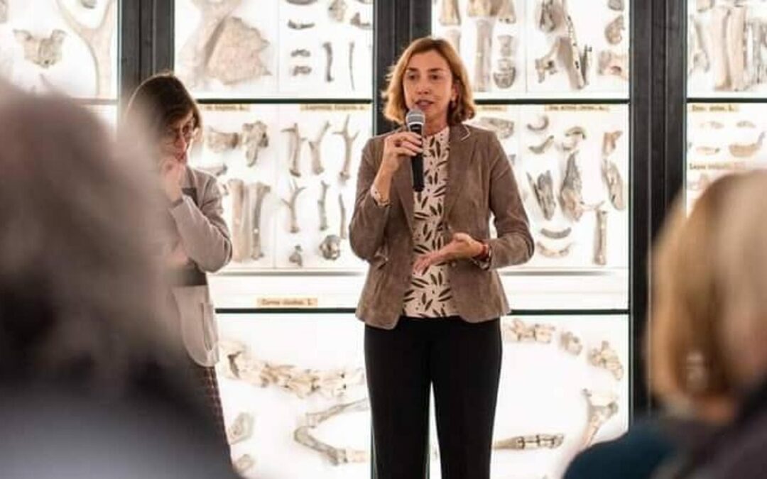 L’etruscologa Laura Maria Michetti: “I furti dei tombaroli uccidono il valore storico delle opere” – la Repubblica