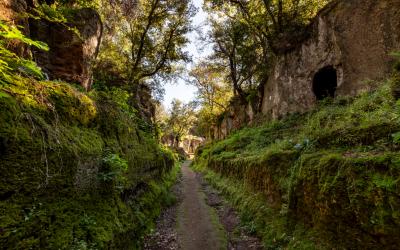 I cammini etruschi: una rete di percorsi tra paesaggio e storia