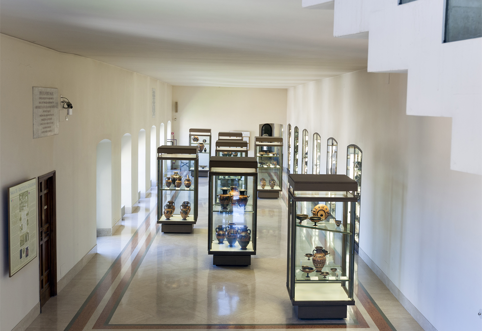 Sale IX e X. Raccolta Guglielmi