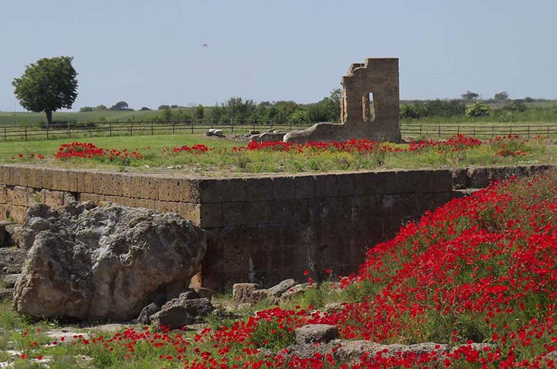 Vulci: dove la storia cammina insieme alla natura – TusciaUp