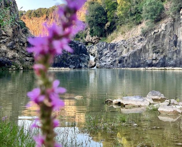 Viterbo News 24 – Fondazione Vulci, si insedia il nuovo CdA