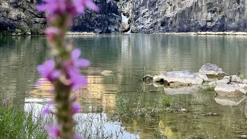 Montalto, Fondazione Vulci: chi sono i nuovi membri del CdA