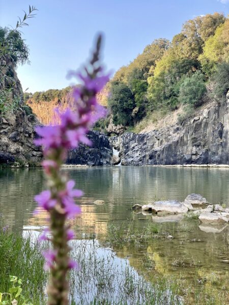 Fondazione Vulci, il PD di Montalto e Pescia Romana: “Cultura fuori dalle logiche di partito”