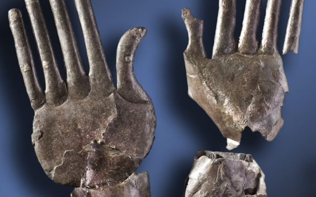 I tesori di Vulci arrivano in mostra a San Francisco
