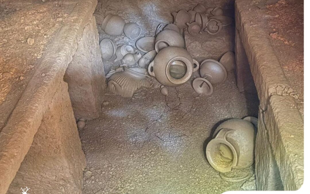 Barbarano Romano: 10 anni di ricerca dietro la scoperta della Tomba dei Vasi con Uccelli Dipinti.