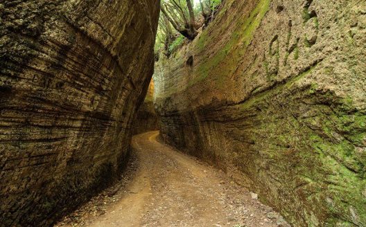 Montalto, un tramonto etrusco tra vie cave e nuove sfide per Vulci