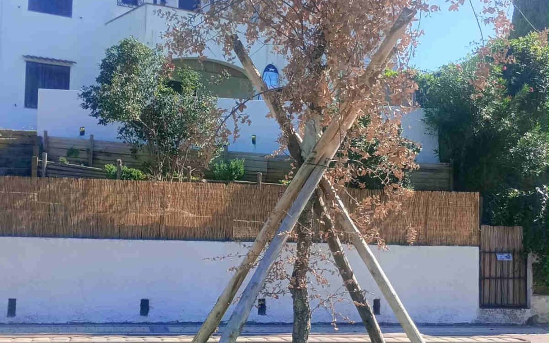 Montalto di Castro, Sergio Caci attacca l’amministrazione: «Vulci vola, la Marina resta al palo»
